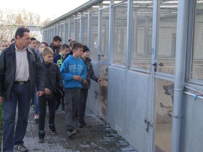 schronisko _lublin_12.jpg